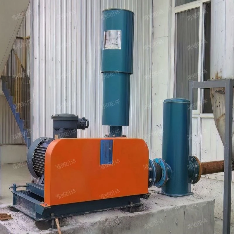 304 Roots vacuum pump system